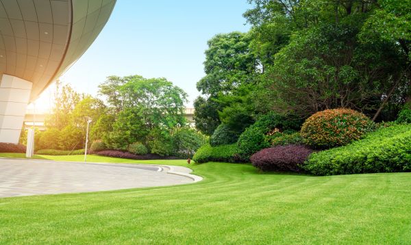 Commercial Shrub Trimming in Ponte Vedra Beach
