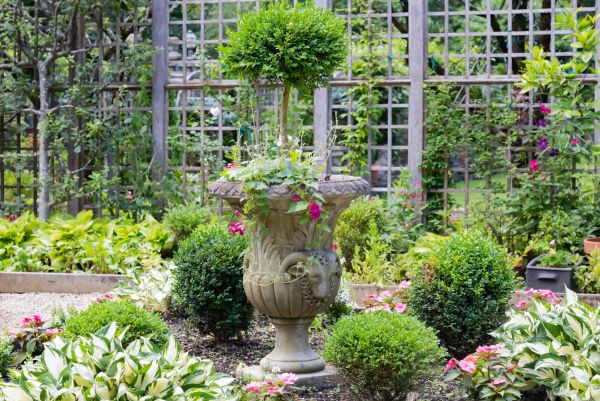 Topiary Pruning in Ponte Vedra Beach