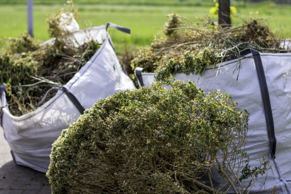 Cost of Shrubs Removal in Ponte Vedra Beach