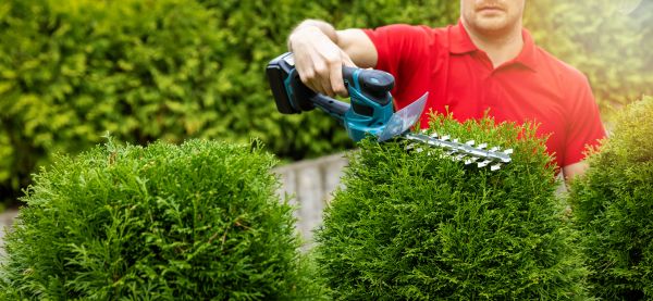 Cost of Hedge Shaping Service in Ponte Vedra Beach