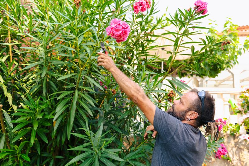Trimming Bushes in a Garden