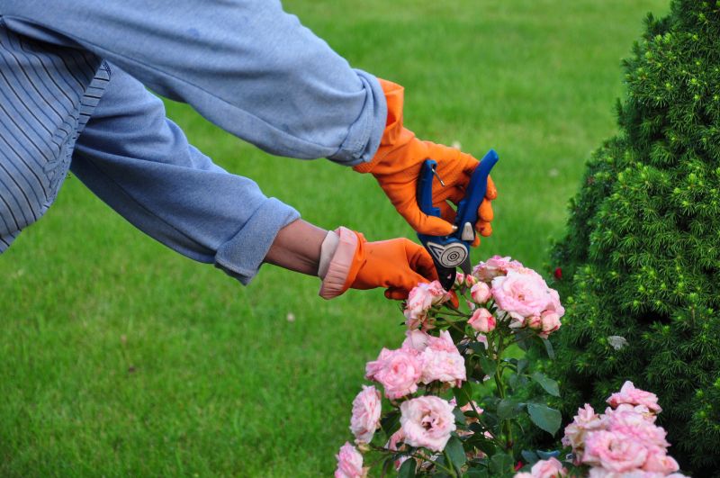 Seasonal Shrub Care
