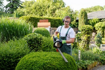 Trimmed Shrubs in a Landscape